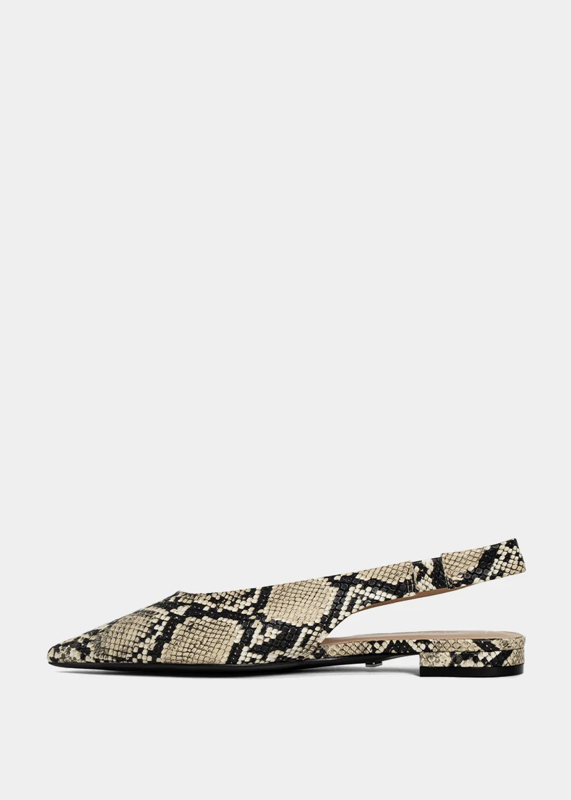 AMELIA - Image 5