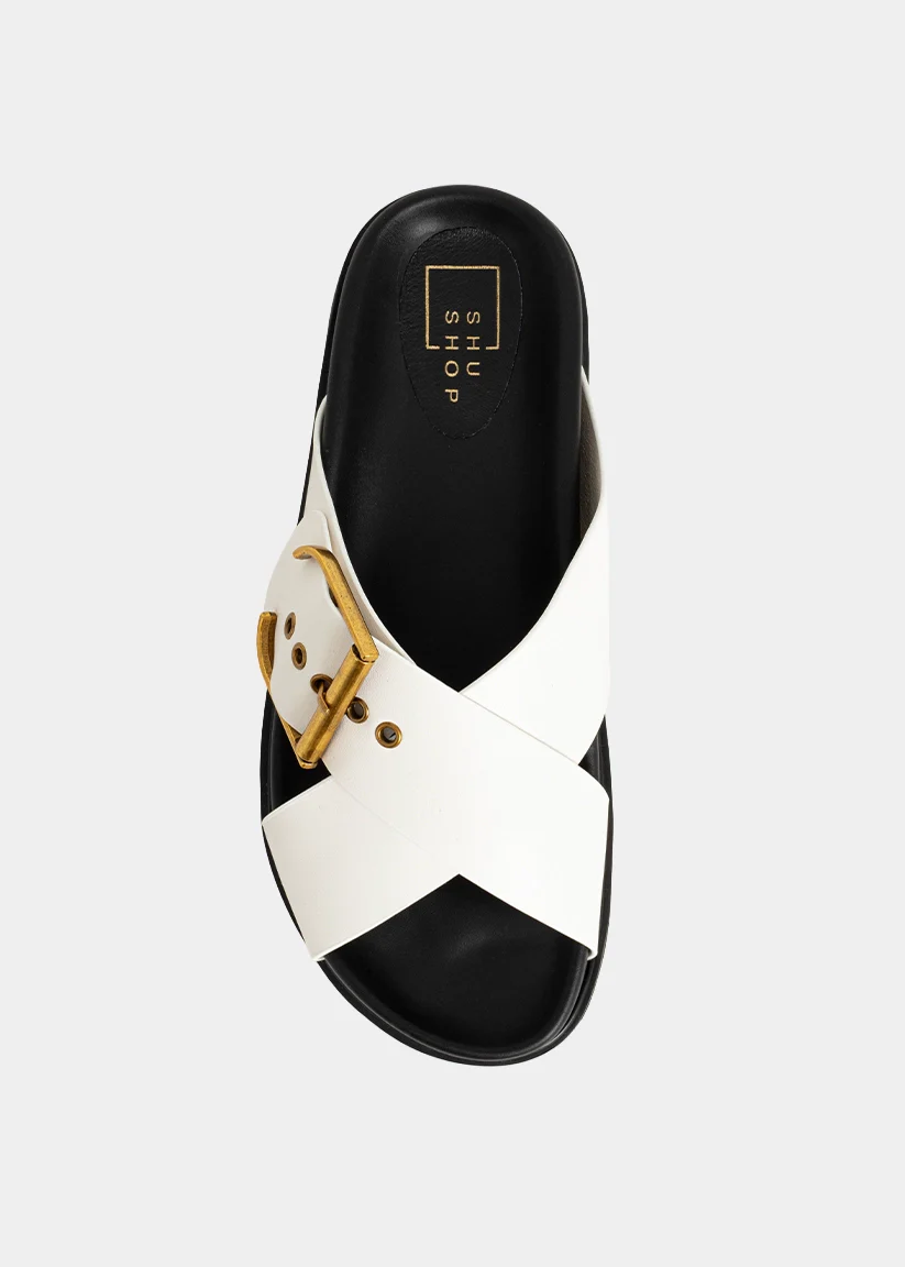 BARB - Image 6