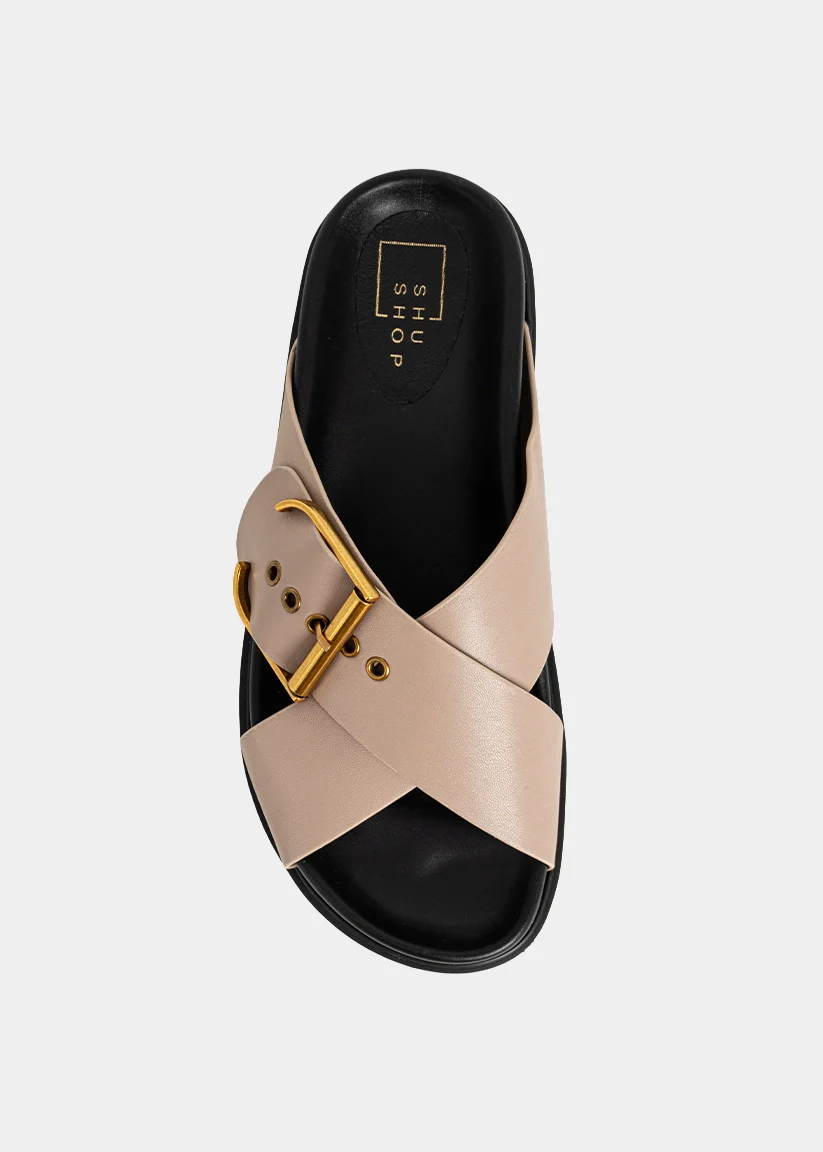 BARB - Image 6