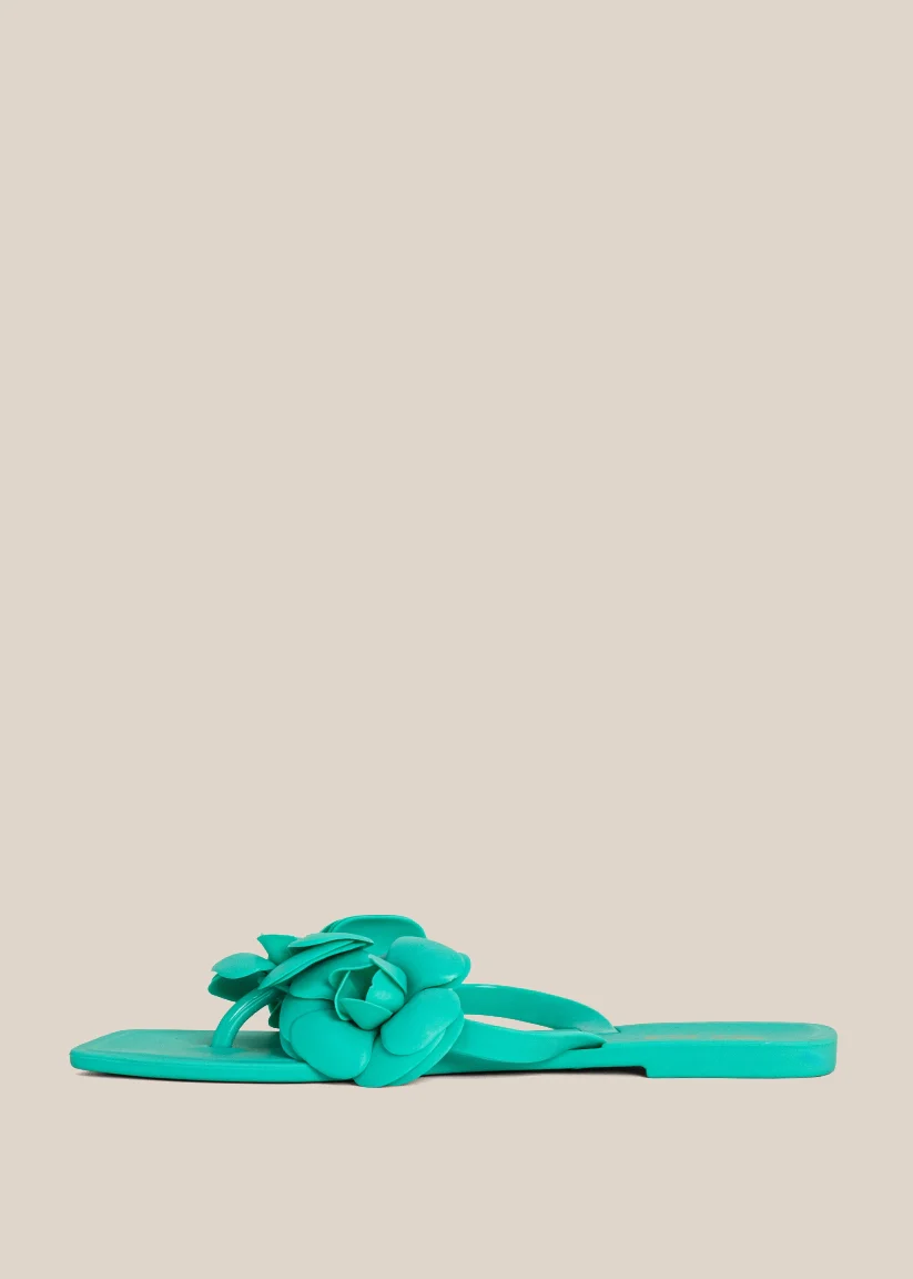 DAHLIA - Image 5