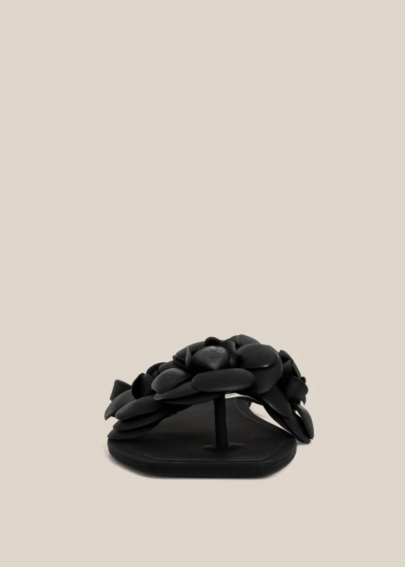 DAHLIA - Image 3