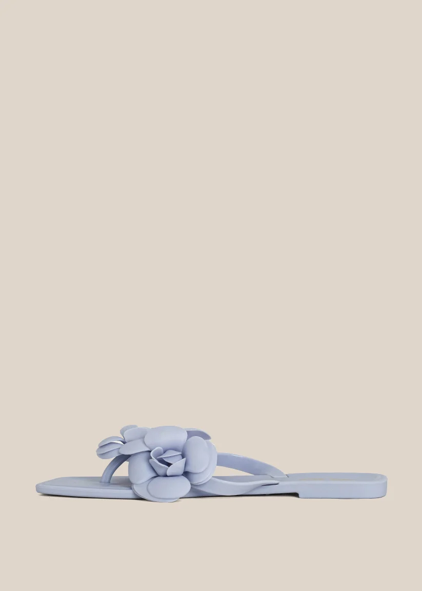 DAHLIA - Image 5