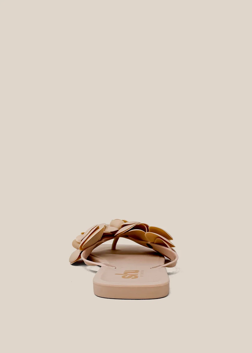 DAHLIA - Image 4