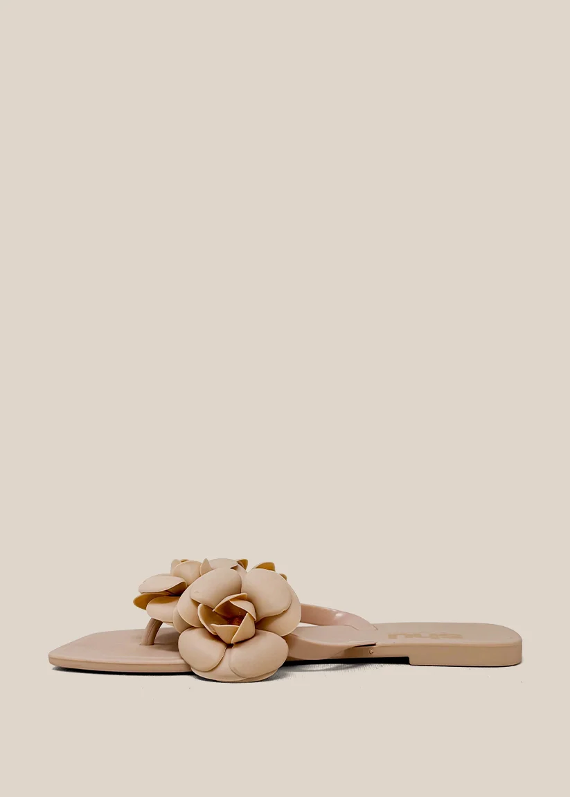 DAHLIA - Image 5