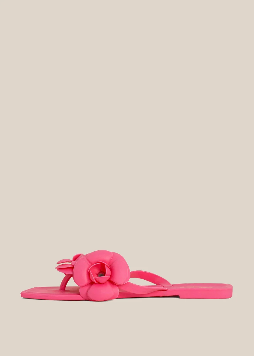 DAHLIA - Image 5