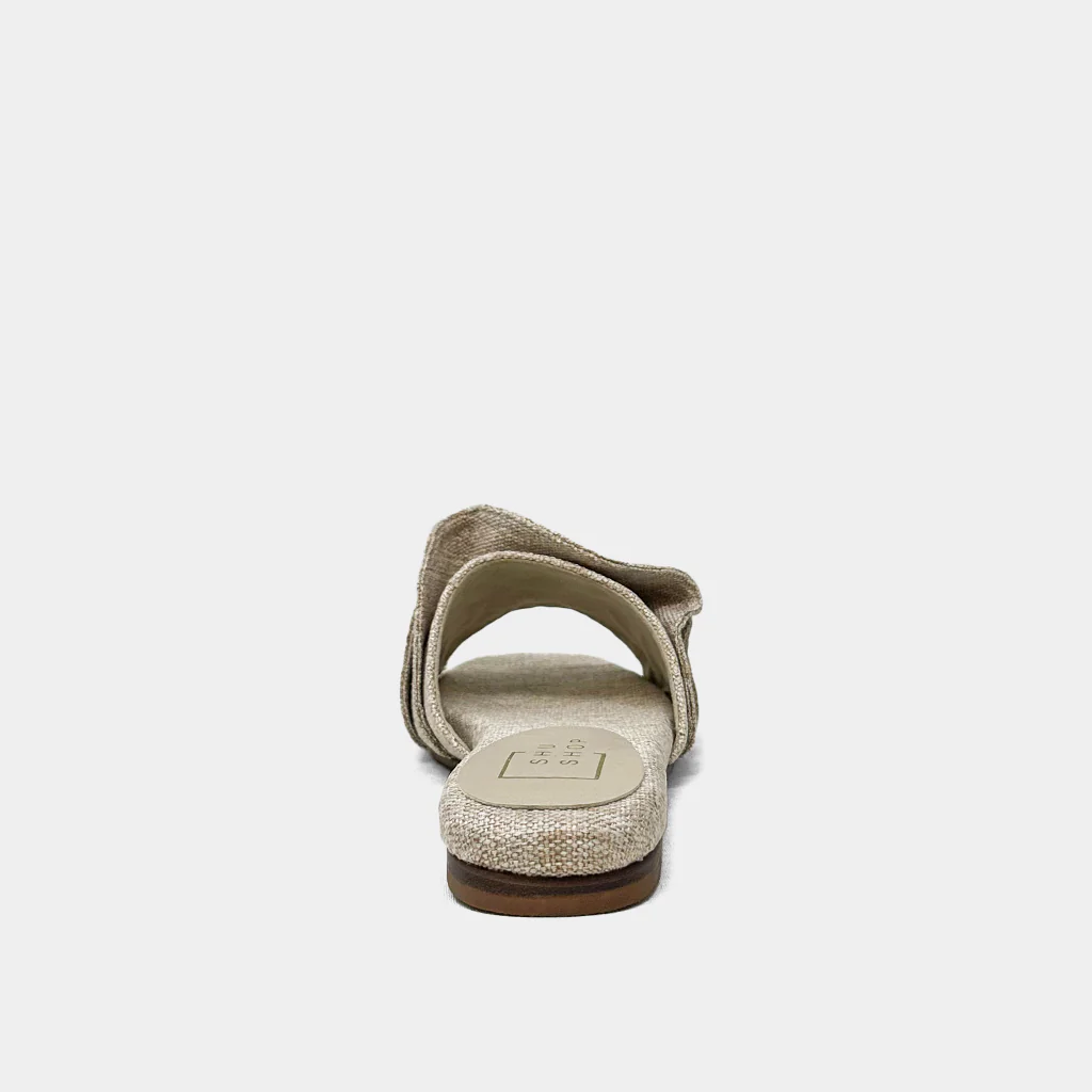 DAISY - Image 6