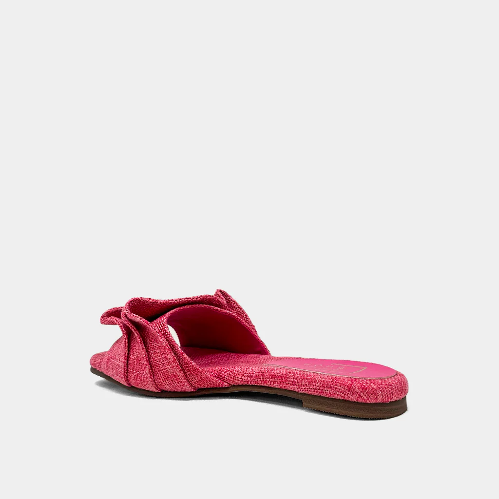 DAISY - Image 5