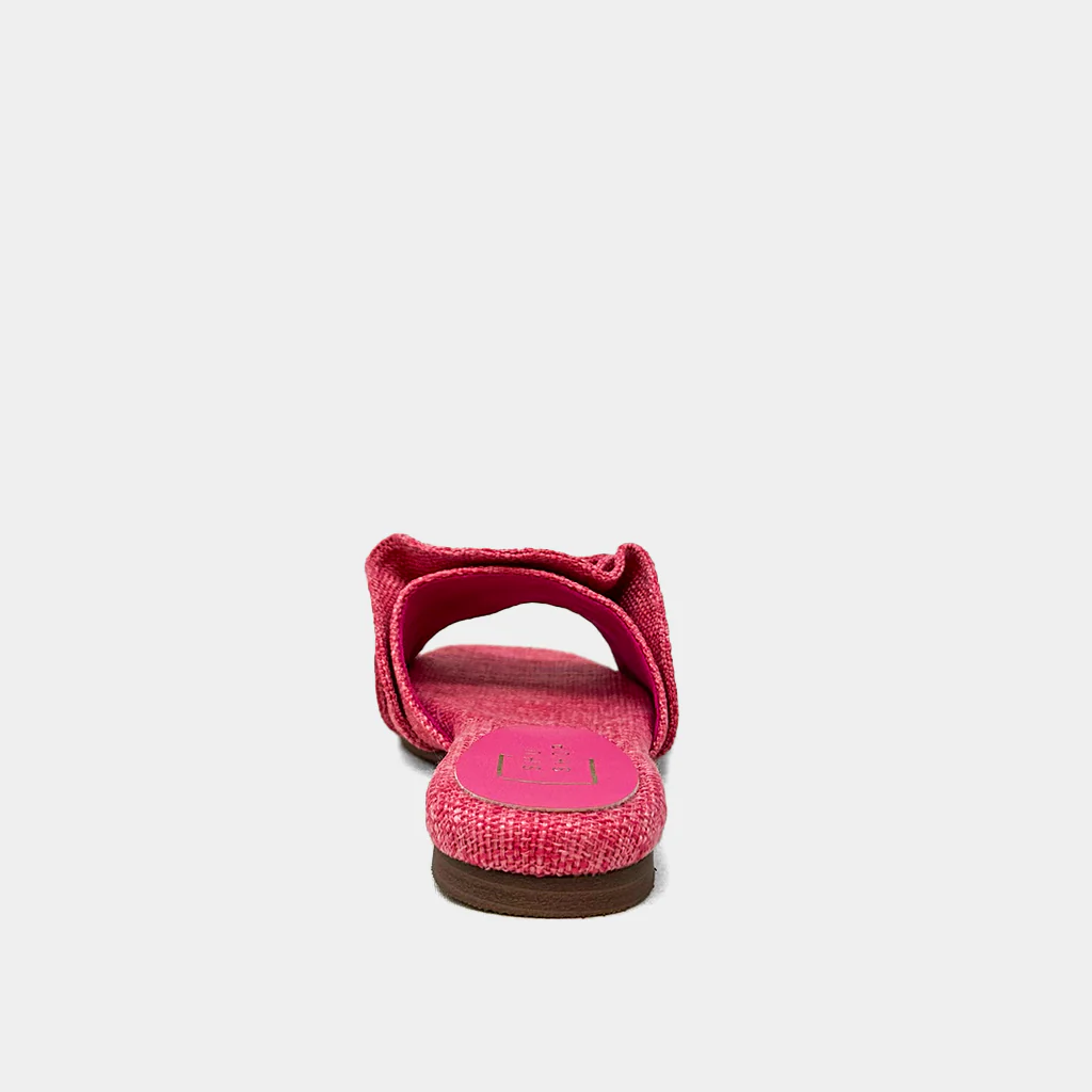 DAISY - Image 6