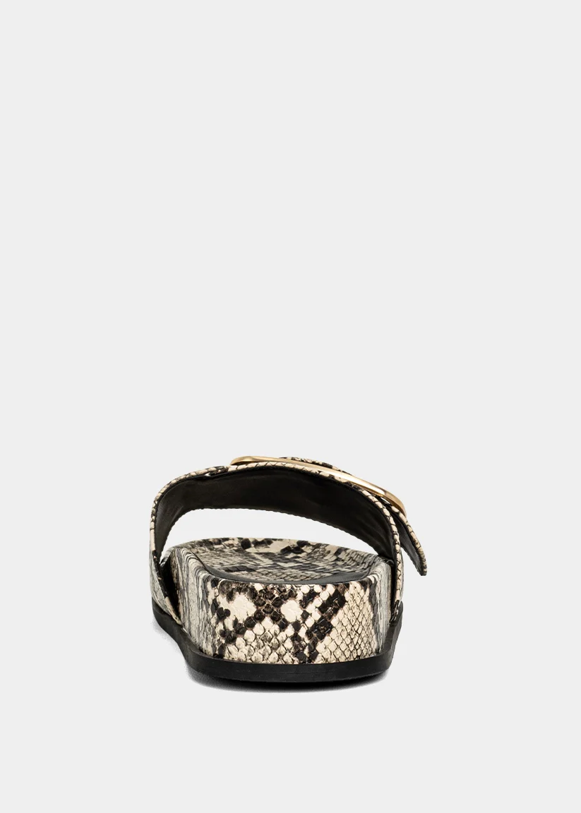 DELPHINE - Image 4