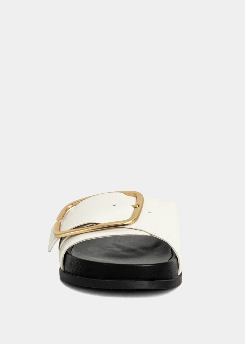 DELPHINE - Image 3