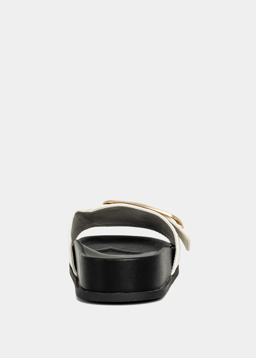 DELPHINE - Image 4