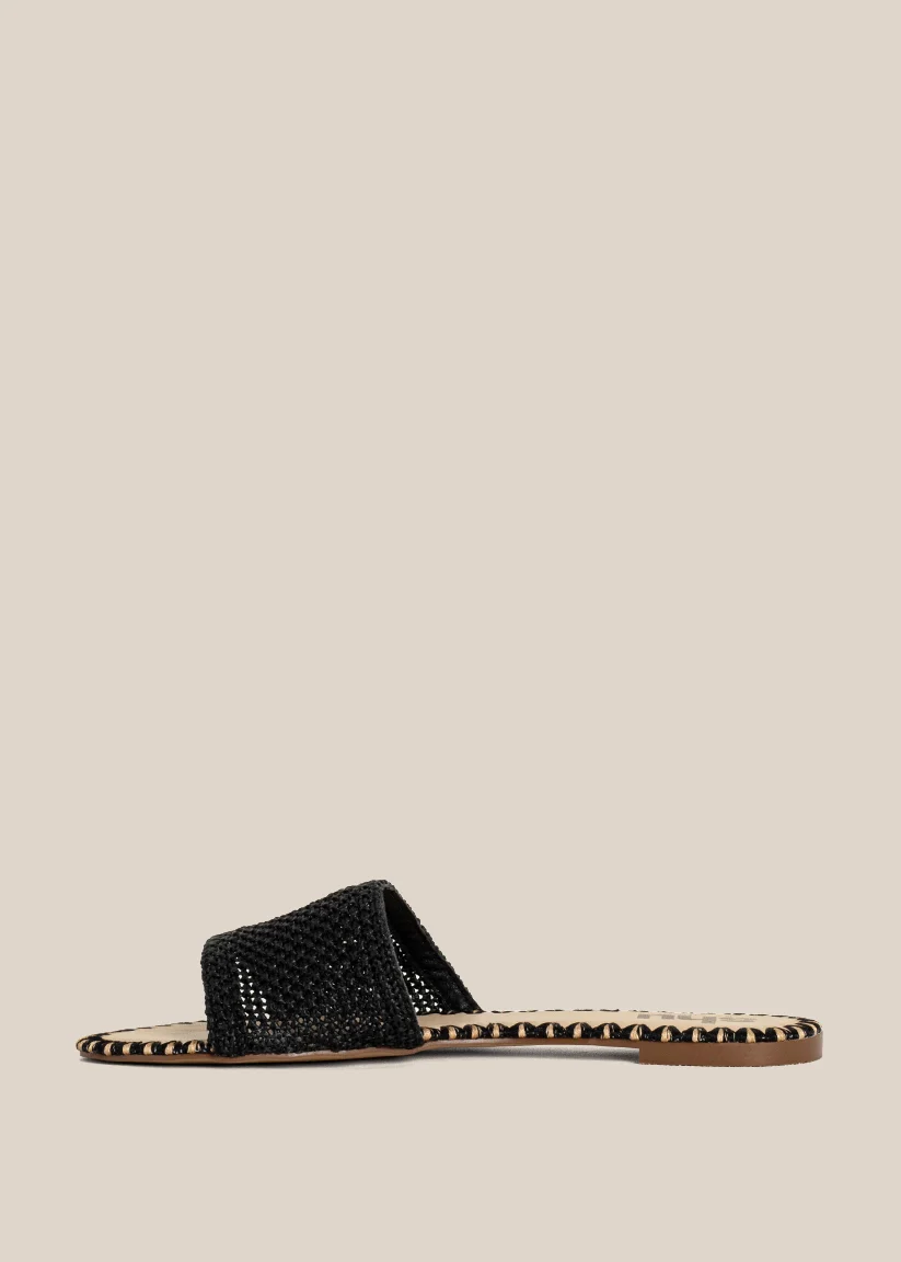 DIXIE - Image 5