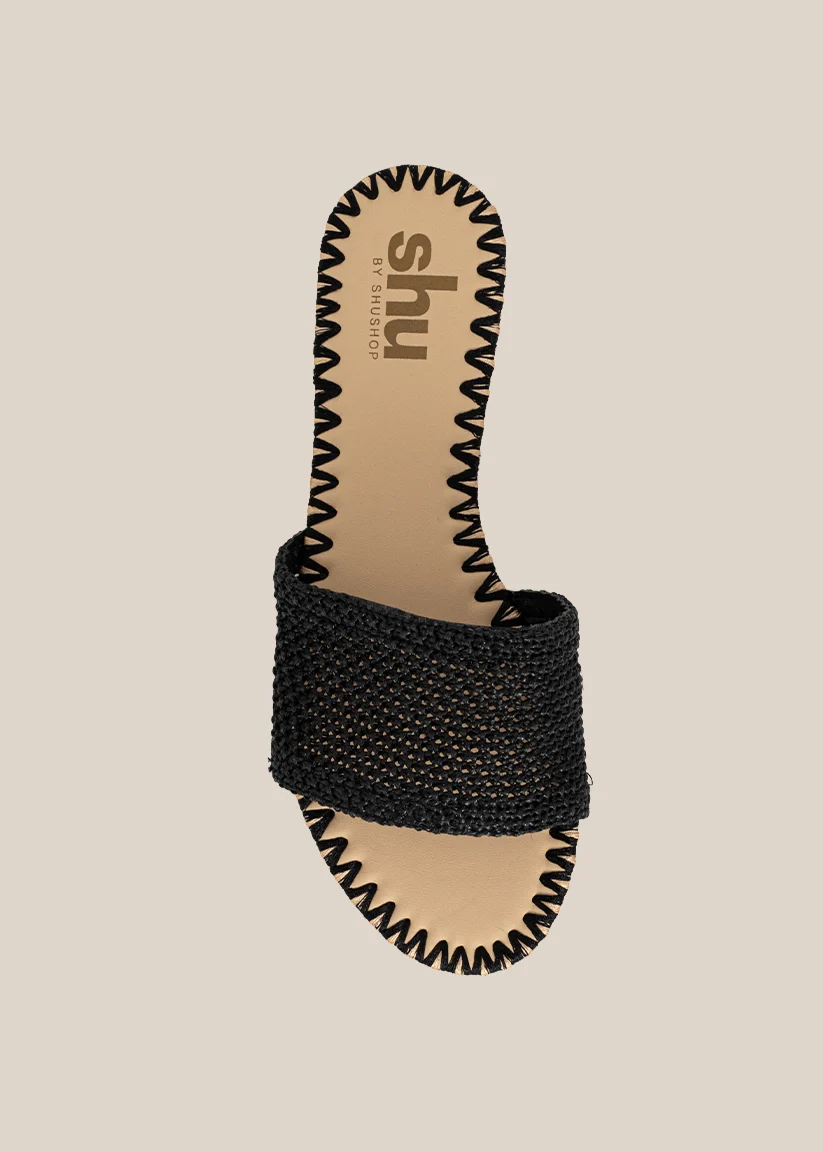 DIXIE - Image 6