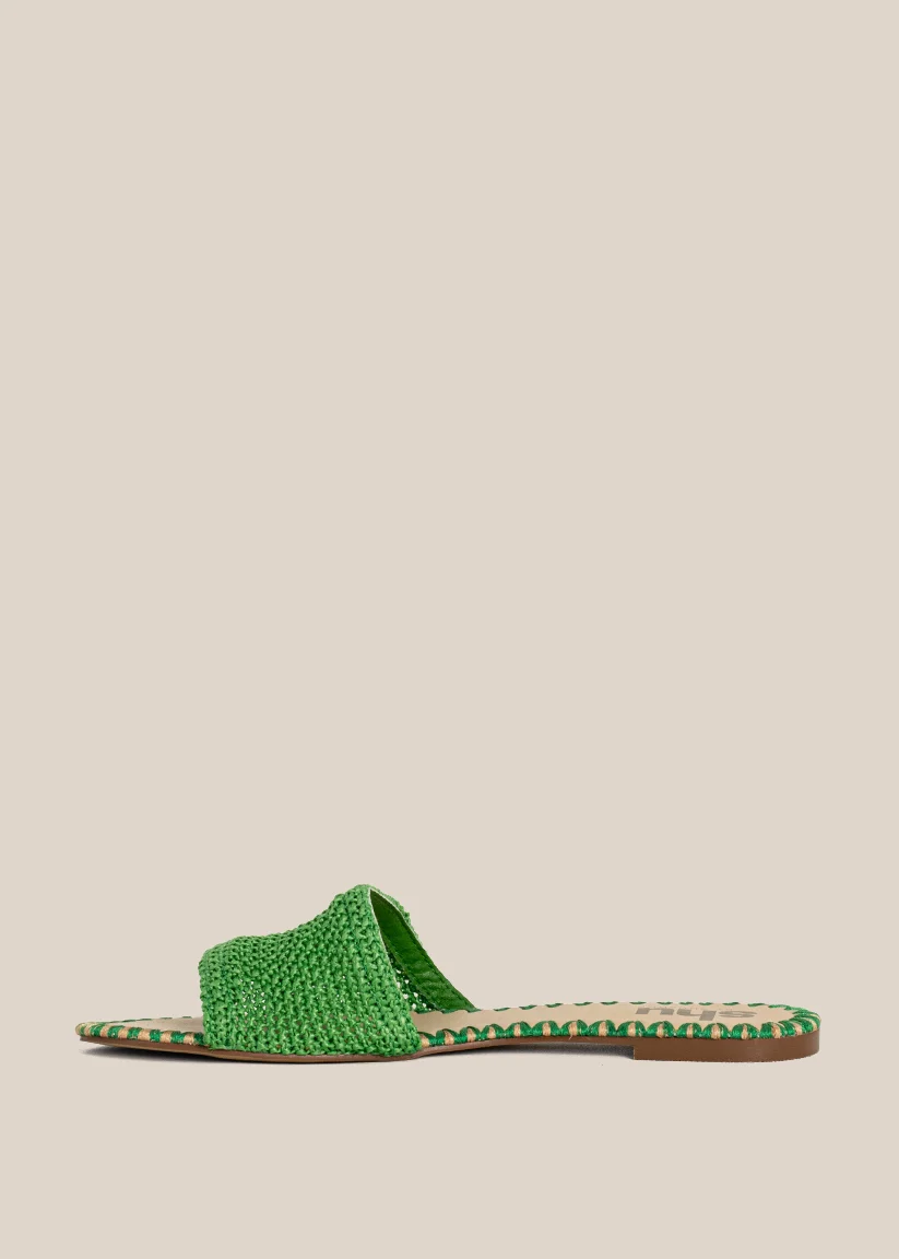 DIXIE - Image 5