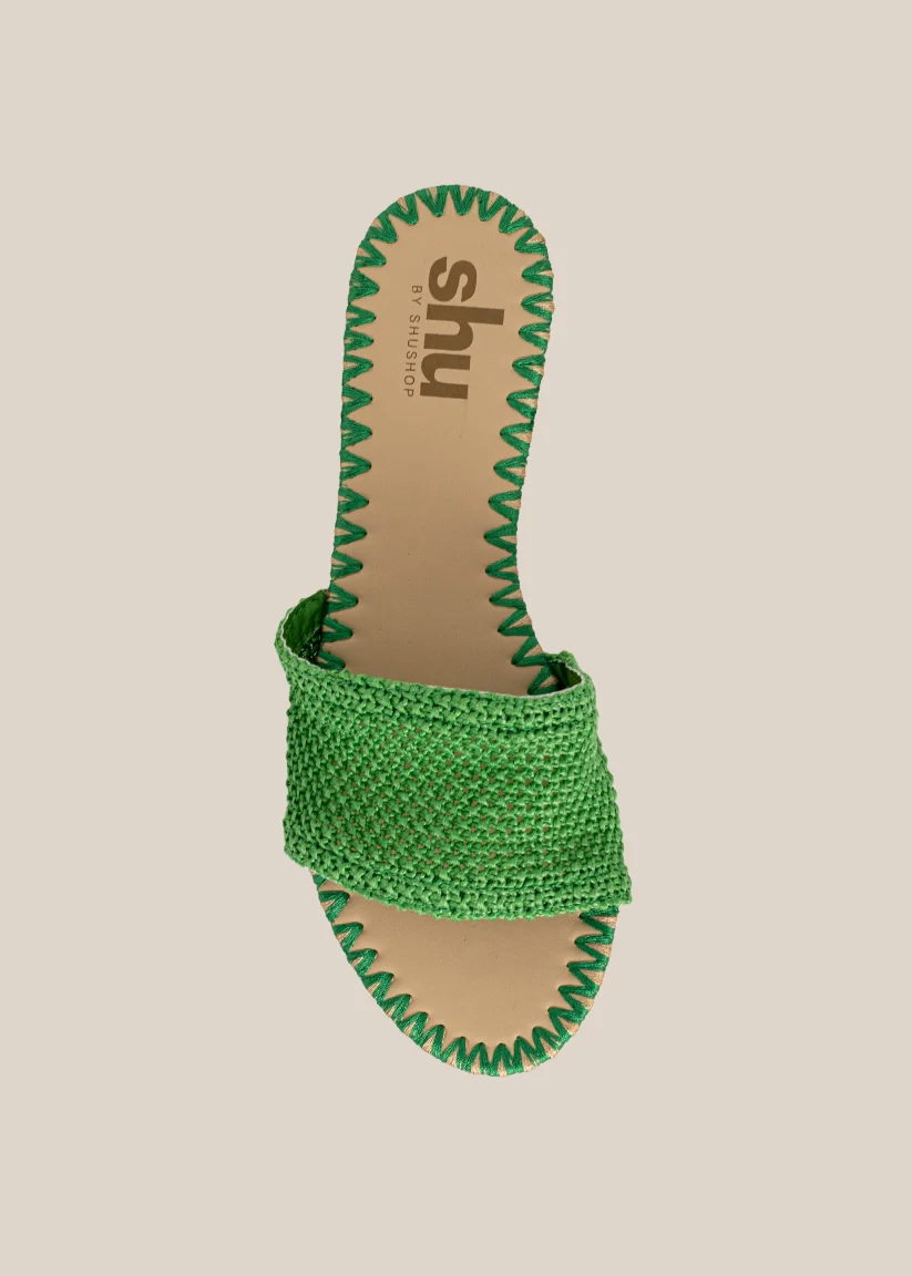 DIXIE - Image 6