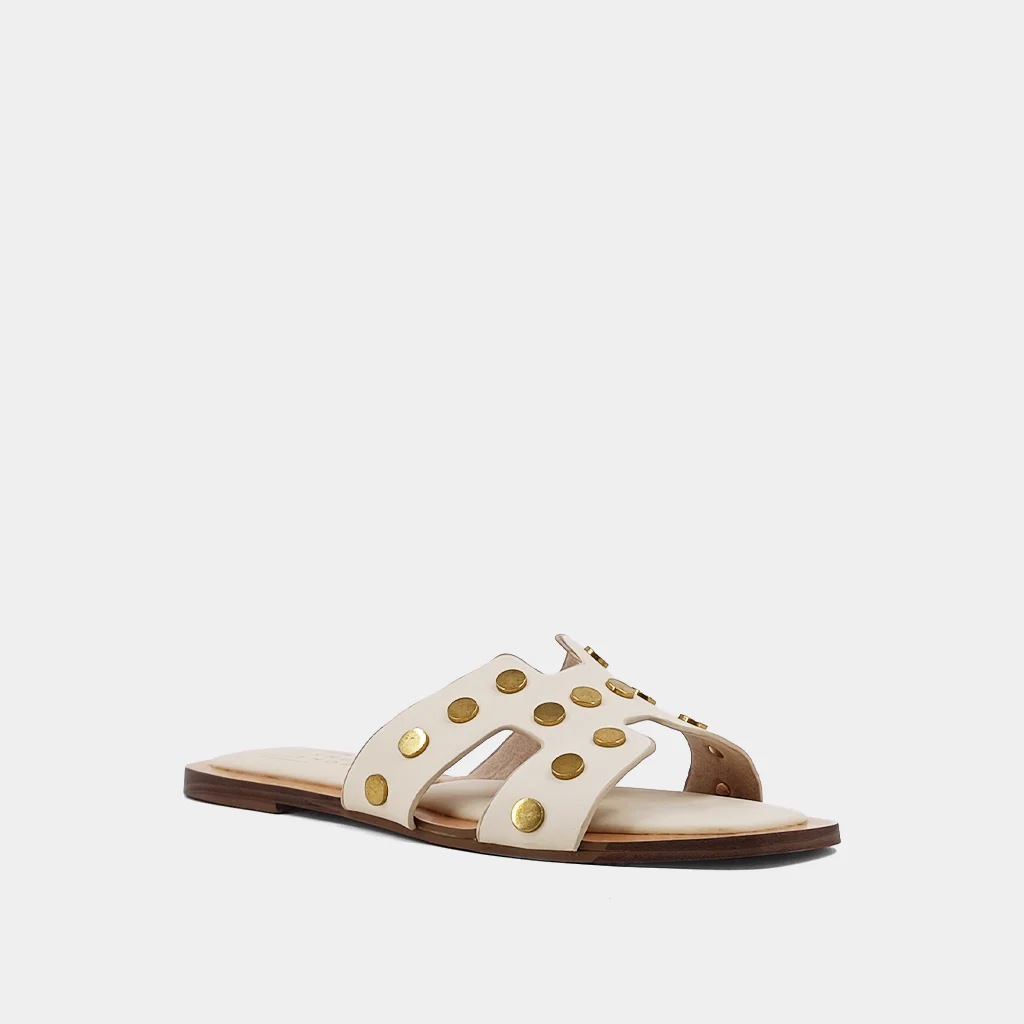 DONATELLA - Image 3