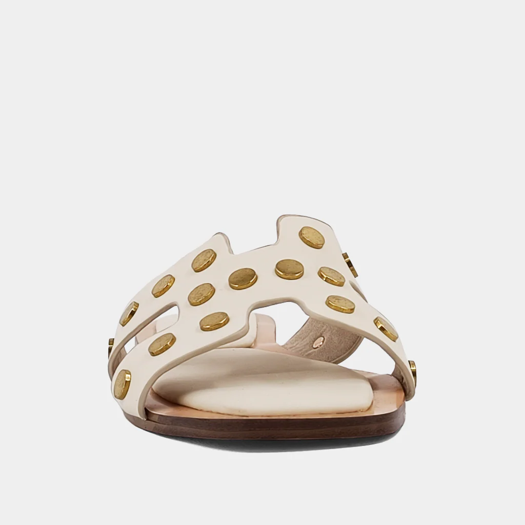 DONATELLA - Image 4
