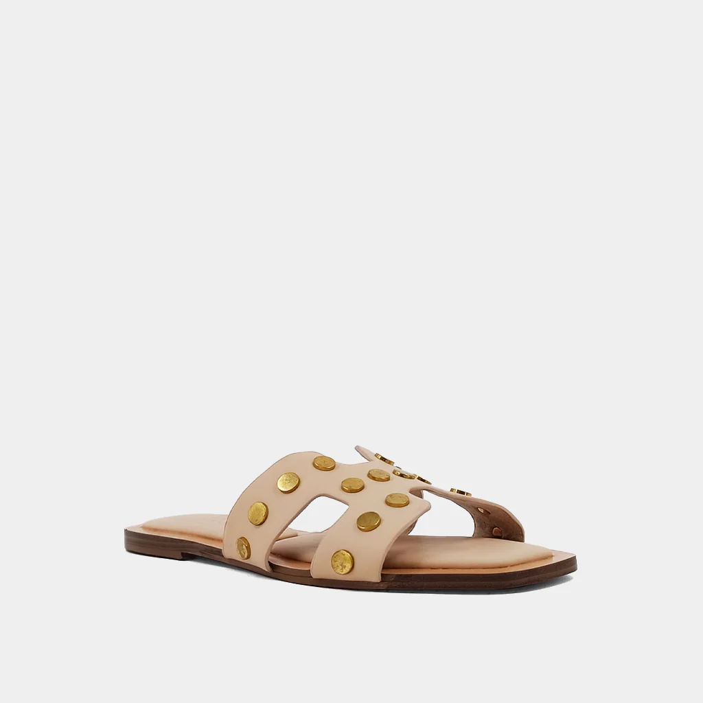DONATELLA - Image 3