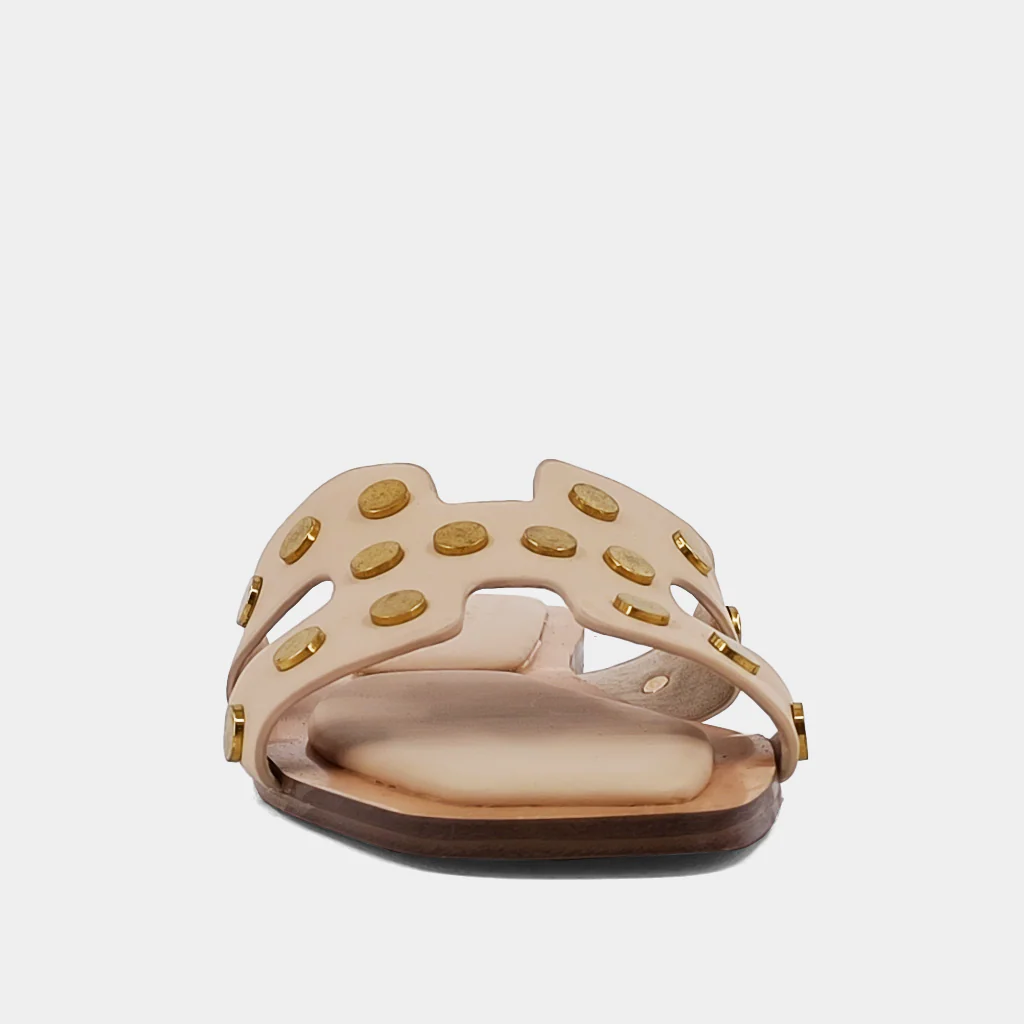 DONATELLA - Image 4