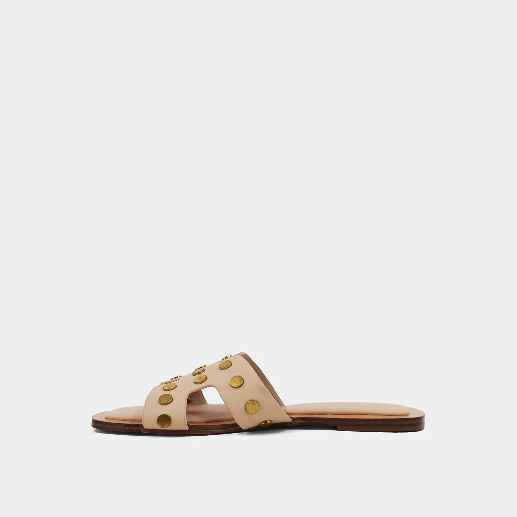 DONATELLA - Image 5