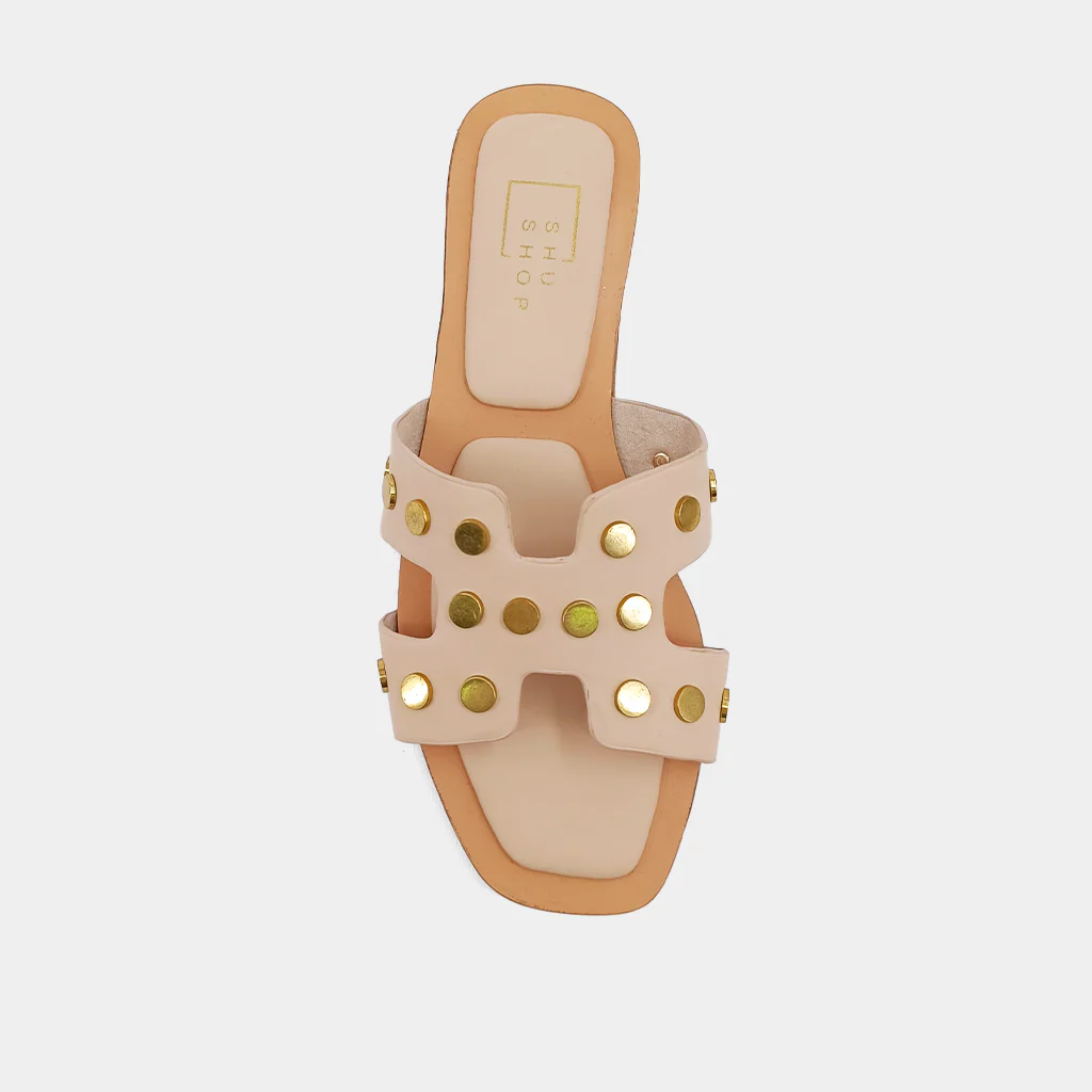 DONATELLA - Image 7