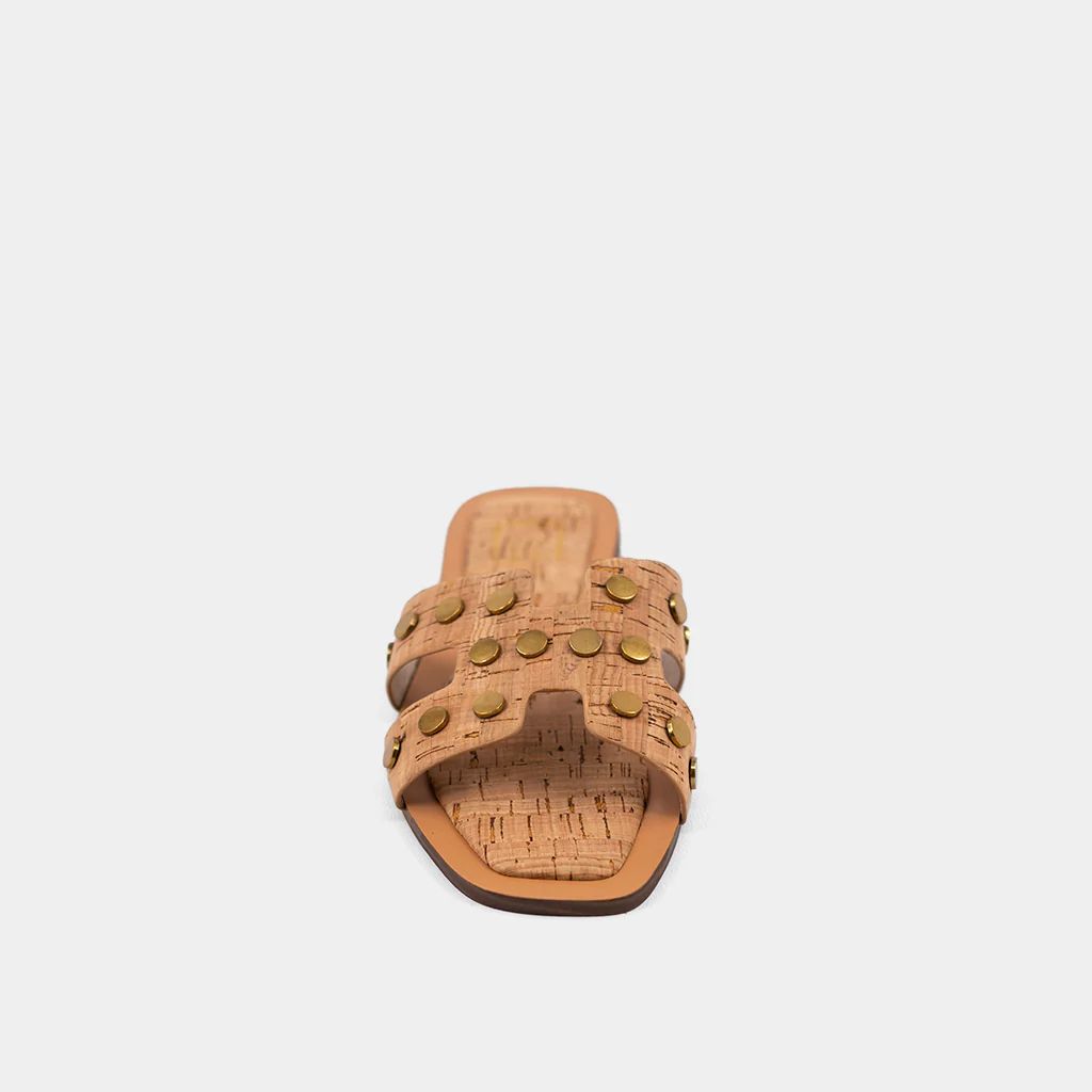 DONATELLA - Image 4