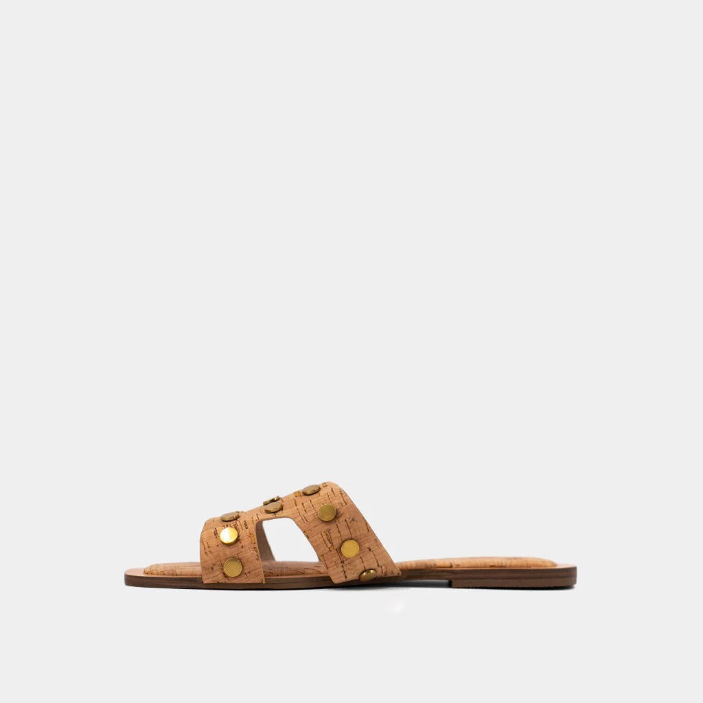 DONATELLA - Image 5
