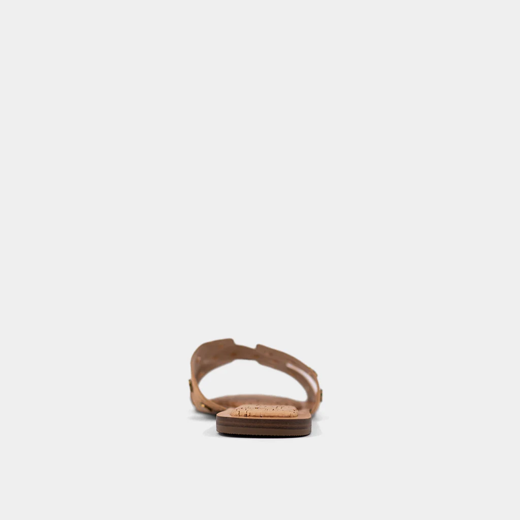 DONATELLA - Image 7