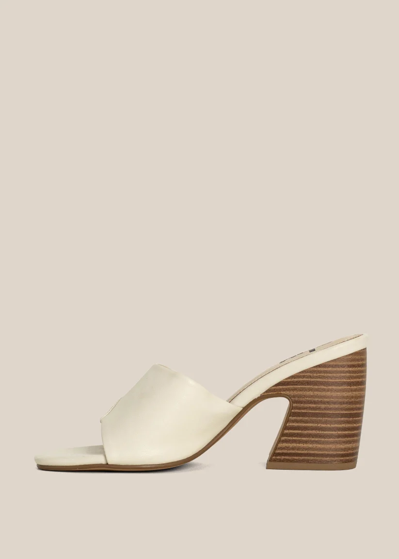 ELSY - Image 5