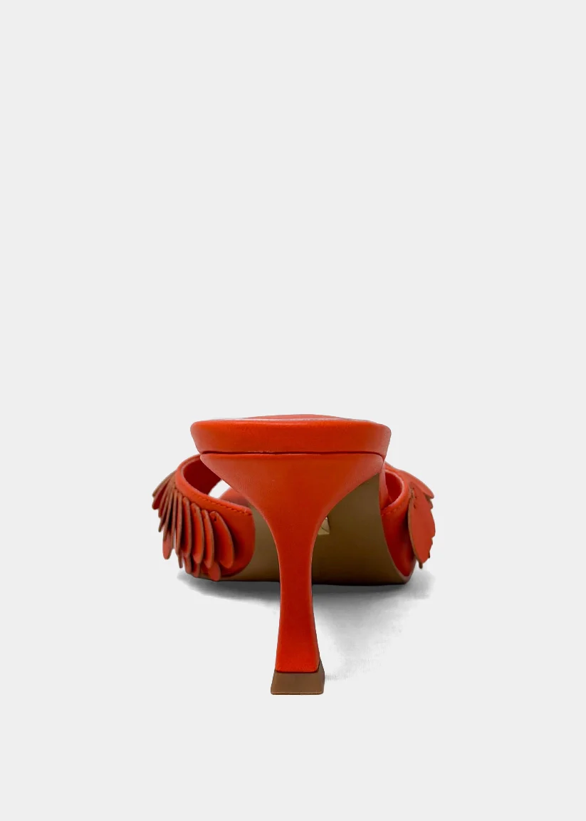 GRACE - Image 4