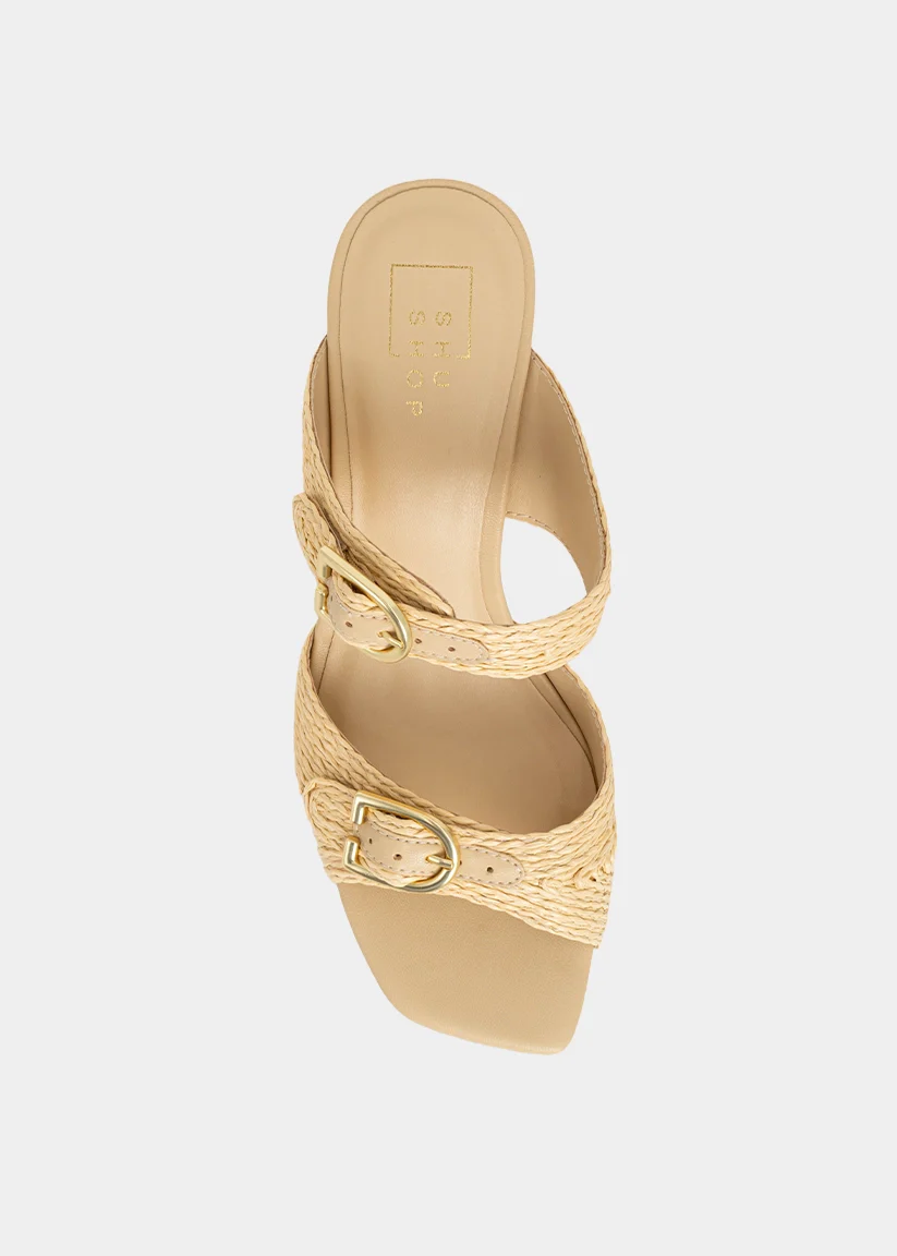 IGNACIA - Image 6