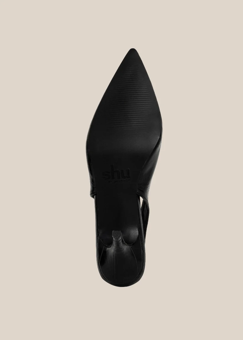 NIGELLA - Image 6