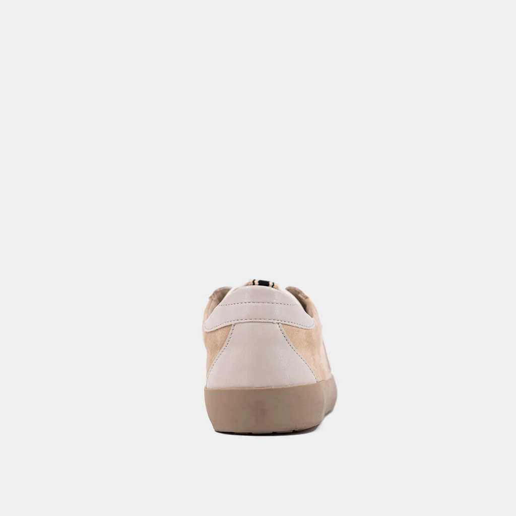 PAULA - Image 7