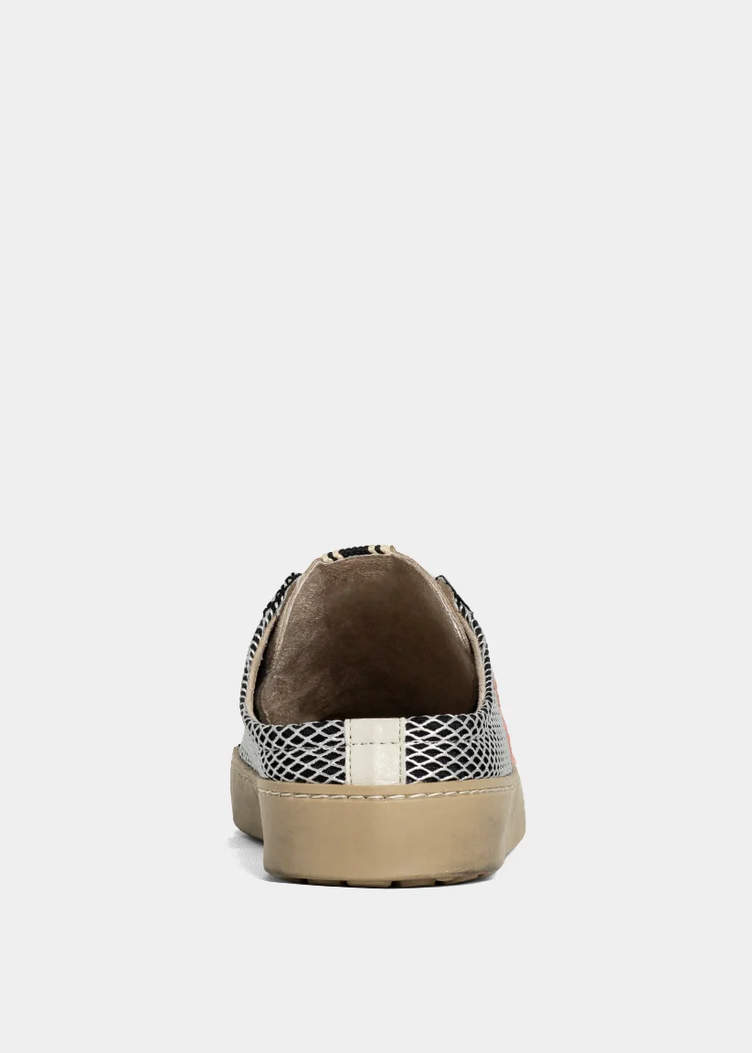POLKA - Image 3