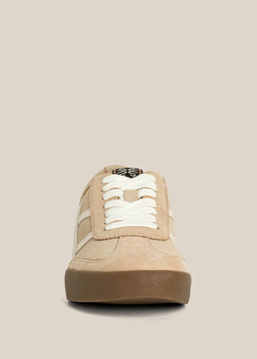 POLLY - Image 2