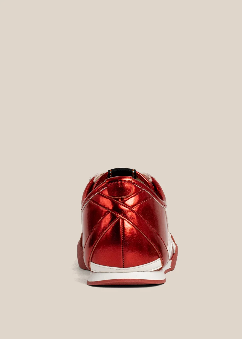 POLLY - Image 3