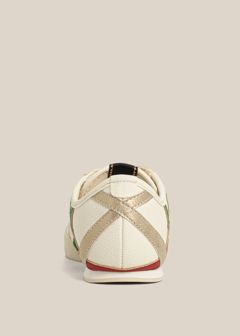 POLLY - Image 4