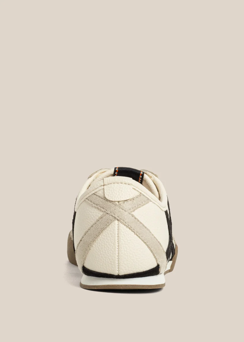 POLLY - Image 3