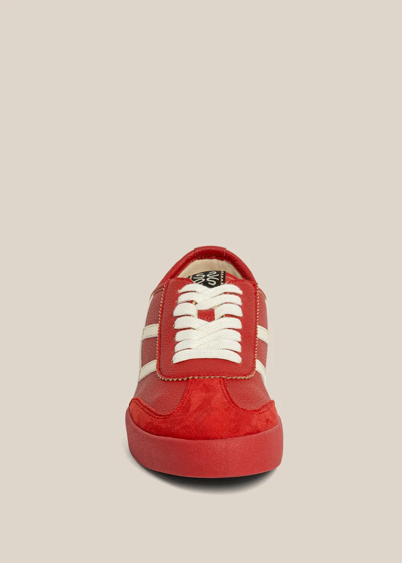 POLLY - Image 3