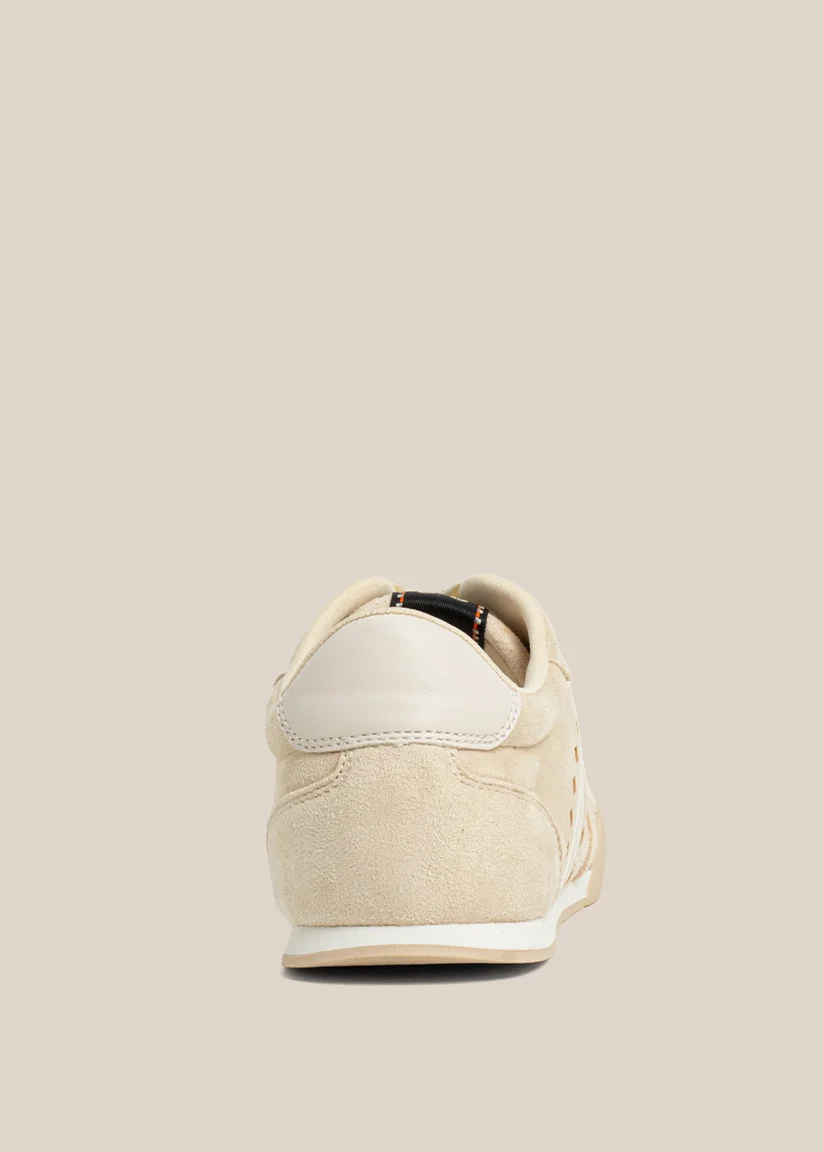 RAVEN - Image 4