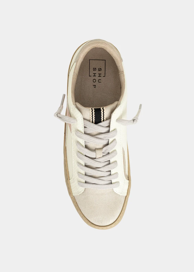 ROBBIE - Image 6