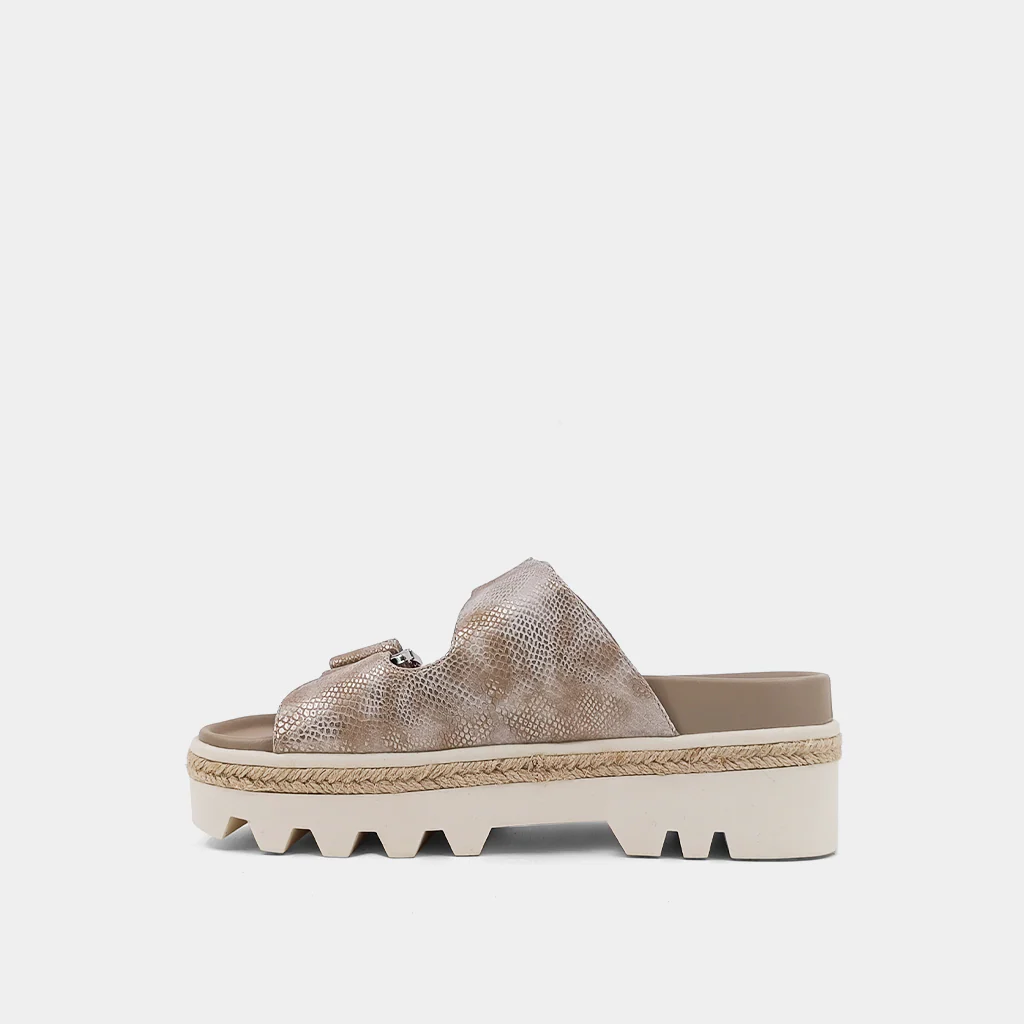 XYLA - Image 5