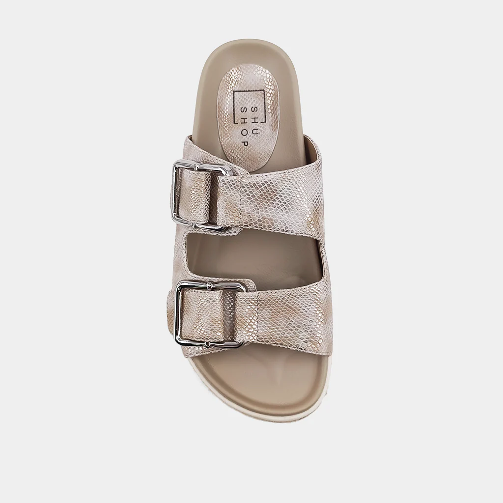 XYLA - Image 7